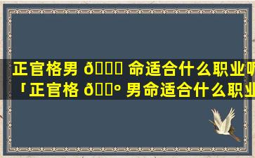 正官格男 🐋 命适合什么职业呢「正官格 🐺 男命适合什么职业呢知乎」
